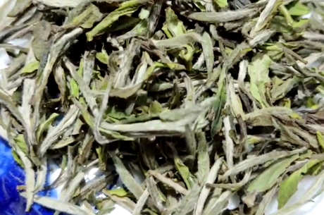 白茶的种类主要分为四类