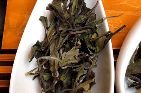 白茶的种类主要分为四类