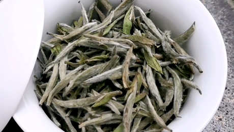 白茶能长期储存吗？