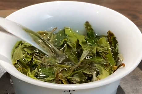 老白茶泡茶步骤正确