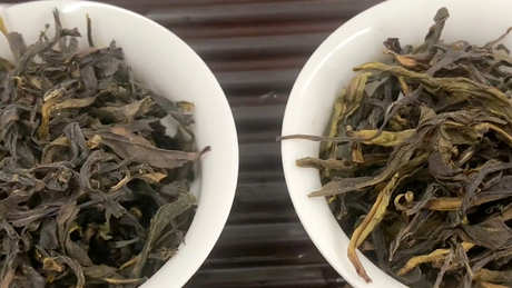 大红袍一次出汤多久？
