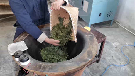绿茶包括哪种茶