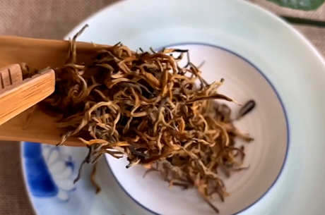 六大茶的基础知识