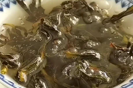 大红袍用多少度的水泡？