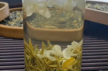 茉莉花茶的产地