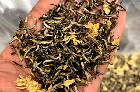 茉莉花茶的产地