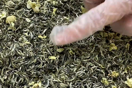 茉莉花茶的产地