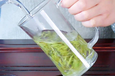 什么茶是雪芽？