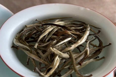 正宗白茶的产地在哪里？