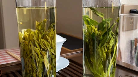 太平猴魁属于什么茶？