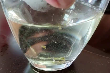 白茶的口感特点