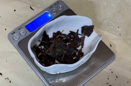 茯茶的产地在哪里？