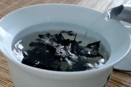 茯茶的产地在哪里？