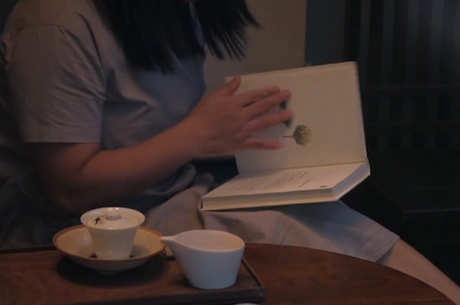 茶的起源