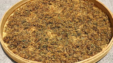 如何制作金银花茶？