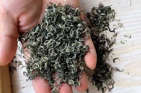 碧螺春属于什么茶？