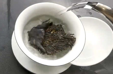 怎样泡普洱茶才是正确的方法？