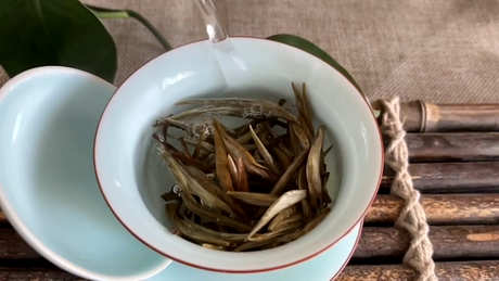白茶泡法的正确方法