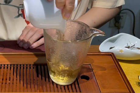 如何泡乌龙茶才能正确