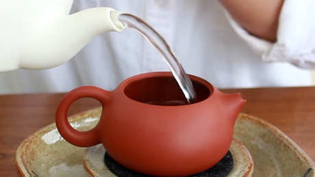 什么茶适合煮？