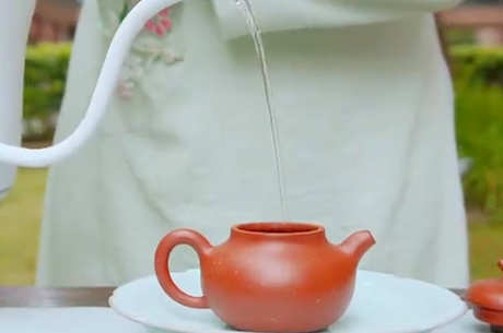 什么茶适合煮？