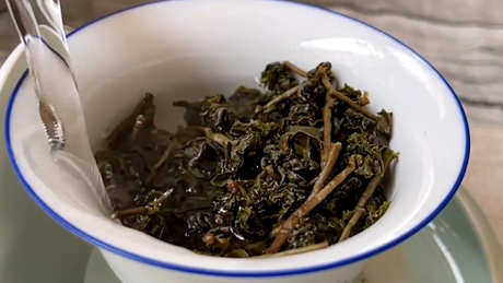 闽南乌龙茶有哪些？