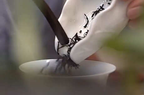 潮汕茶有哪些名茶？