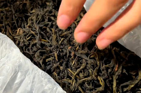 乌龙茶属于哪些茶？