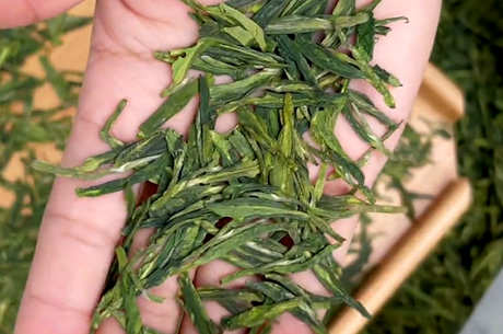 什么是炒绿茶？