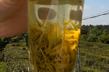 什么是炒绿茶？