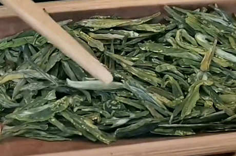 什么是炒绿茶？