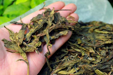 长期喝普洱茶好吗？