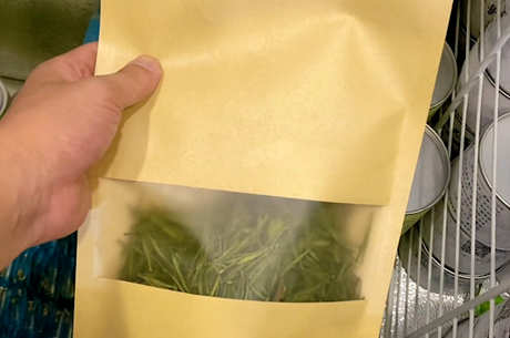 如何最好地保存绿茶？