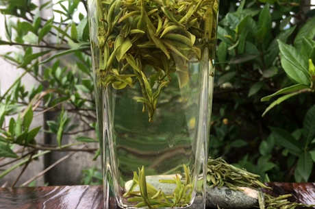 绿茶是酸性还是碱性