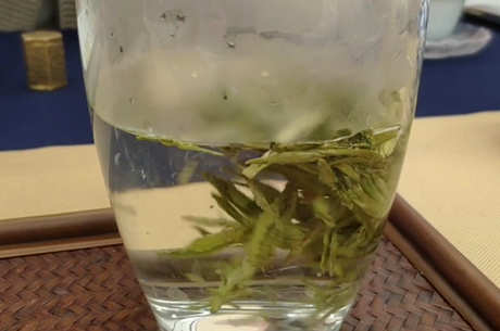 什么季节喝绿茶比较合适？