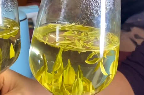 什么季节喝绿茶比较合适？