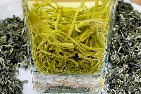 十大名茶有哪些？