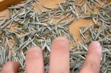 十大名茶有哪些？