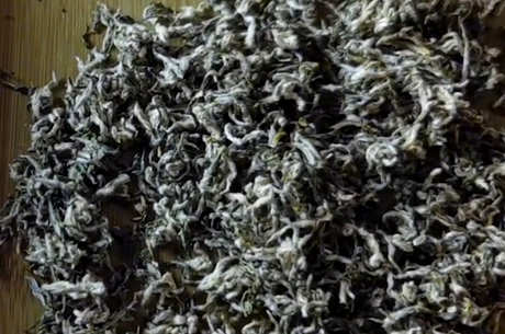 十大名茶有哪些？