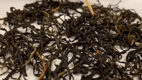 滇红茶是什么茶？