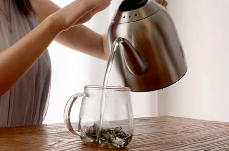 代表白茶的名茶有哪些？