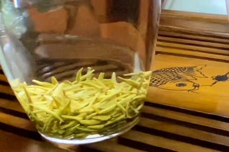 绿杨春属于什么茶？