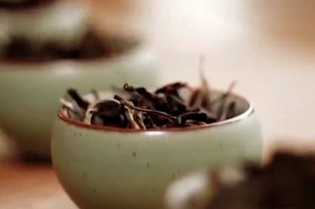 茯茶是什么样的茶？