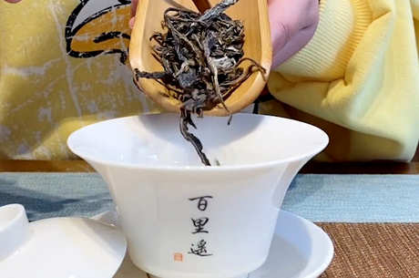 什么茶是梅子青？