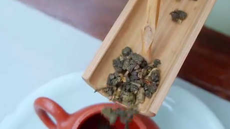 什么是铁观音茶？