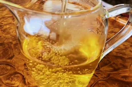 什么是铁观音茶？