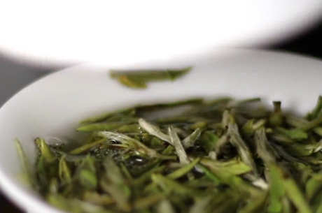 白牡丹的冲泡方法和水温