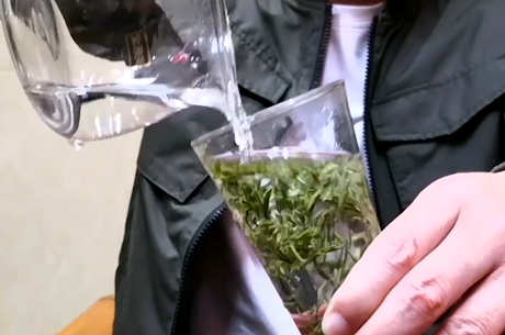 绿茶有哪些种类？