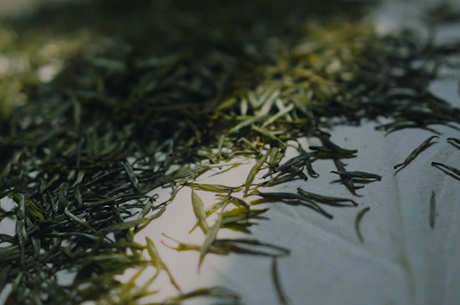 绿茶有哪些种类？