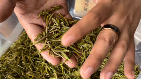 什么样的茶是清茶？